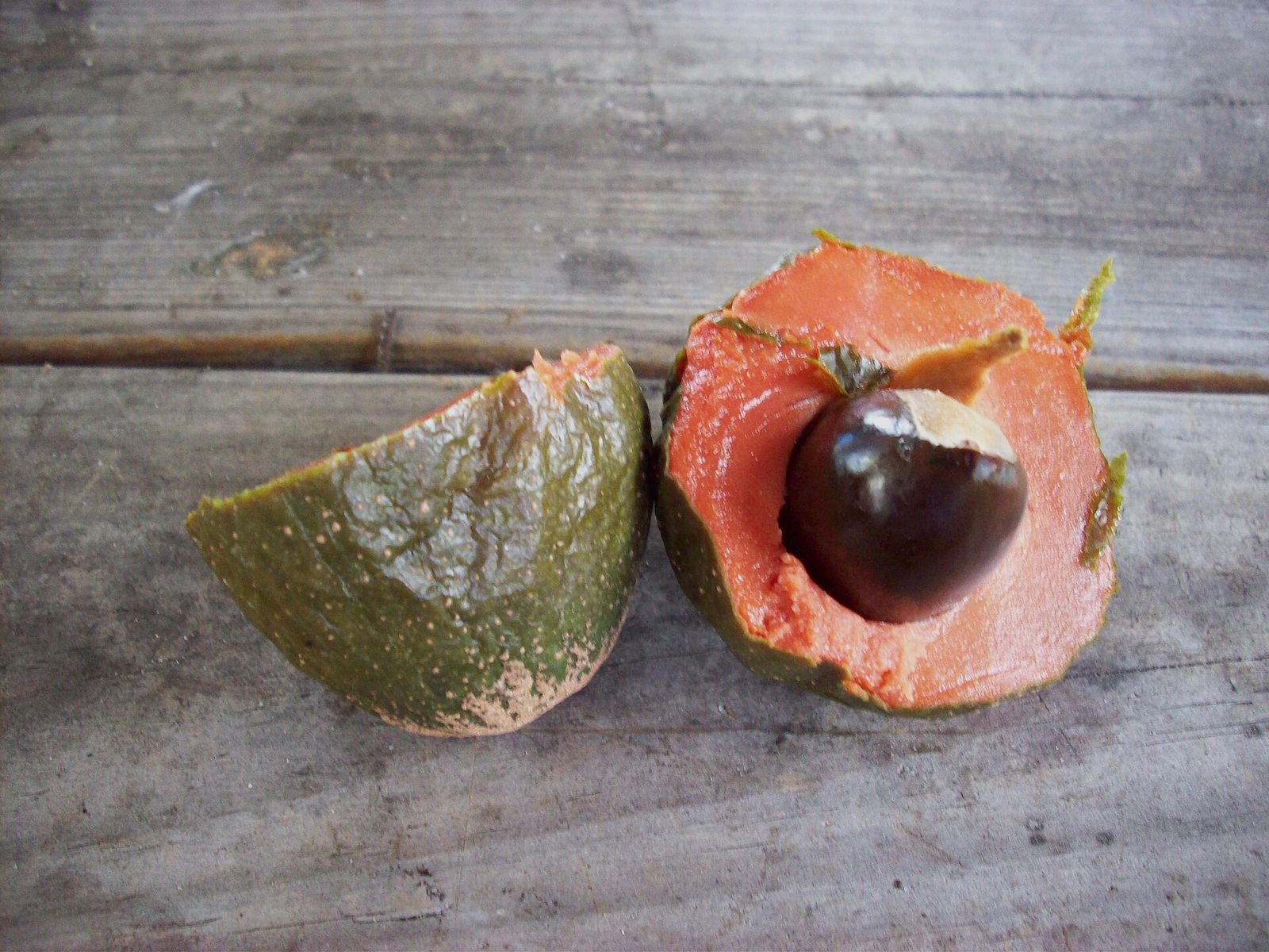 Green sapote cut open showing the flesh