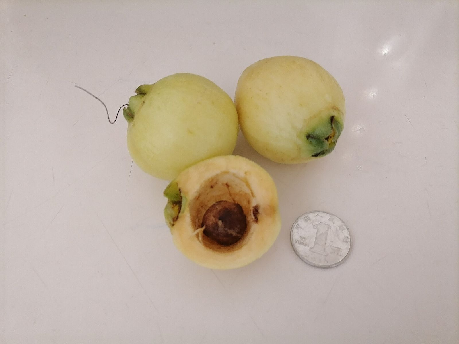 Rose apples, one cut open