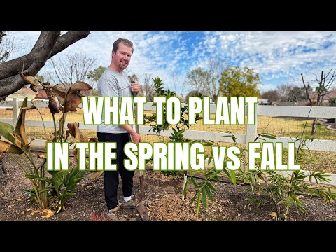 What to Plant in Spring vs Fall  |  Living in a Harsh Summer and Winter Environment