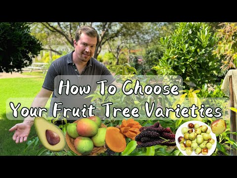 How to Choose the Best Fruit Tree Variety For You