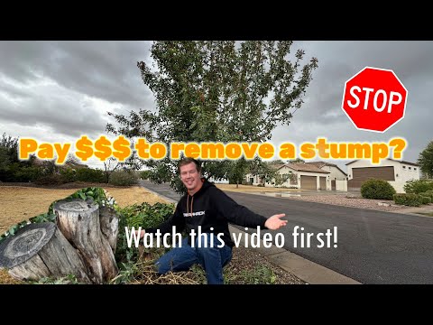 Regrow a "Dead" Tree! Have a Stump with New Growth? Watch This Video Before Removing It